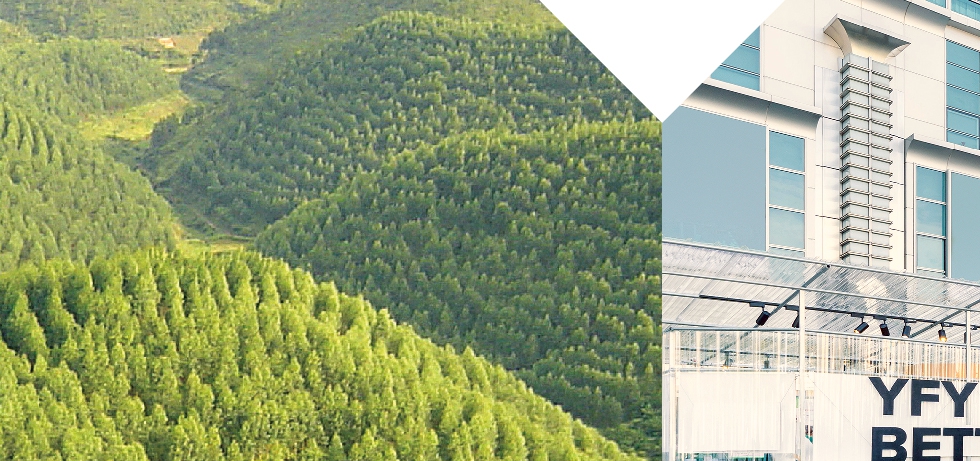 以醣為本深耕百年